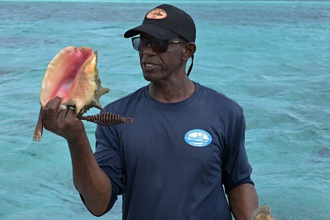 Stingray City and Snorkel Tour With Lunch - The conch, fish, and local food angle