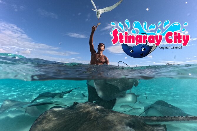 Stingray City and Starfish Experience with Coral Reef Snorkeling - Why this Grand Cayman tour offers good value