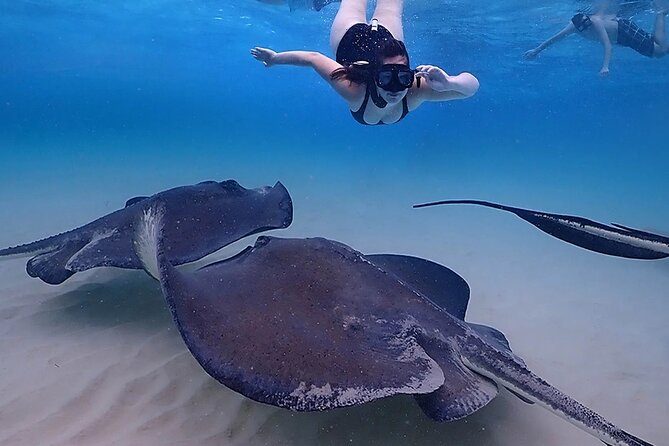 Stingray City and Starfish Experience with Coral Reef Snorkeling - Coral Gardens and Grand Cayman’s underwater color