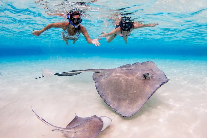 Stingray City and Starfish Experience with Coral Reef Snorkeling - What the crew does well on the water