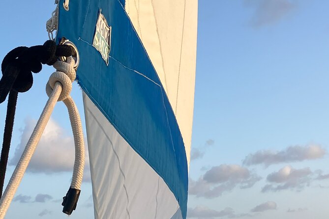 Stingray City Catamaran Sunset Tour - Who will enjoy this Grand Cayman boat trip?