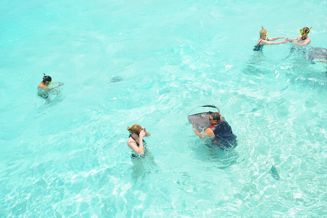 Stingray City, Coral Gardens & Frankie's Local Lunch & Juice - Timing, transport, and the return to port