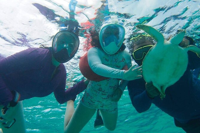 Stingray City Experience Plus One Snorkeling Stop - How the water conditions affect the day