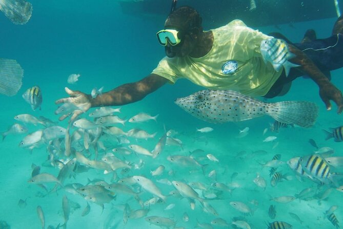 Stingray City Experience Plus Two Snorkeling Stops on Grand Cayman - Coral Gardens and the Barrier Reef