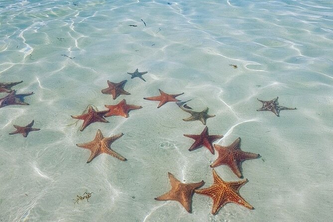 Stingray City Private Charters - Weather and Cancellation Rules