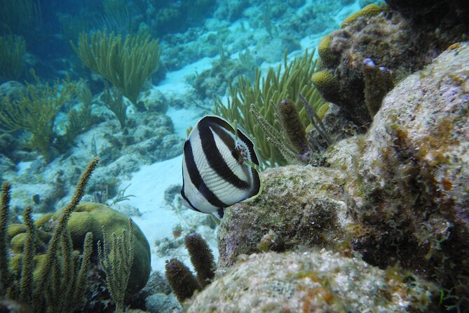 Stingray City Private Charters - Who Will Like This Charter Most?