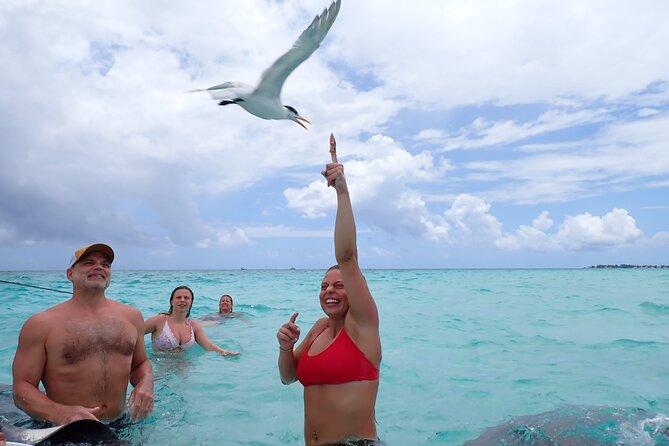 Stingray City Sandbar Experience - What the family feedback tells you