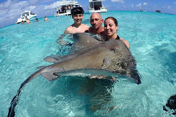 Stingray City Sandbar, Snorkel, Star fish Beach (Family operated) - Key points to know before booking