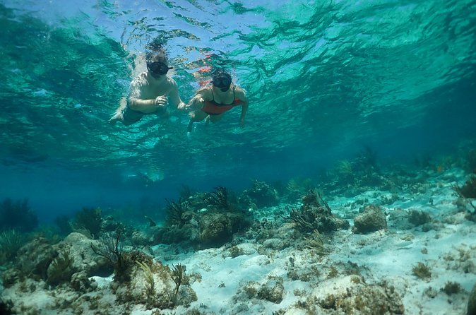 Stingray City Sandbar, Snorkel, Star fish Beach (Family operated) - Simple ways to make the day better