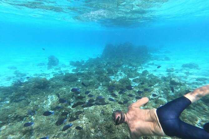 Stingray City, Star fish Point and Snorkeling Private Boat Tour - What the boat day feels like in practice