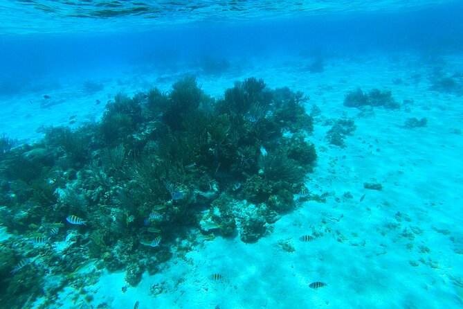 Stingray City, Star fish Point and Snorkeling Private Boat Tour - Is $725 a fair price?