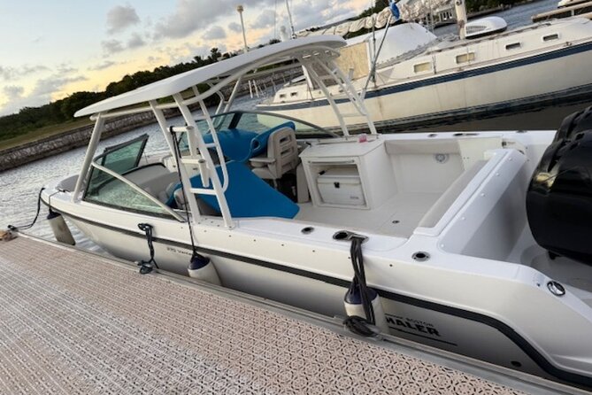 Stingray City, Star fish Point and Snorkeling Private Boat Tour - Who should book this Grand Cayman tour?