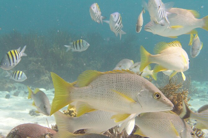 Stingray Sandbar, Snorkeling, and Starfish Point - Getting from Yacht Drive to the water