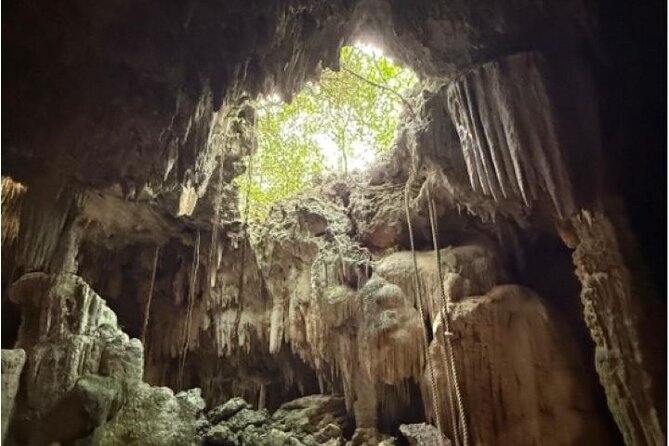Stingrays, Starfish and Crystal Cave Adventure - Starfish Point: A Short, Gentle Second Stop