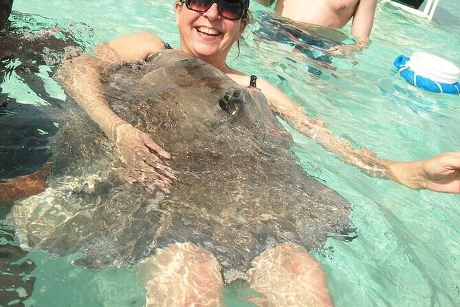 Stingrays, Starfish and Snorkeling Tour - The new catamaran makes the ride more comfortable