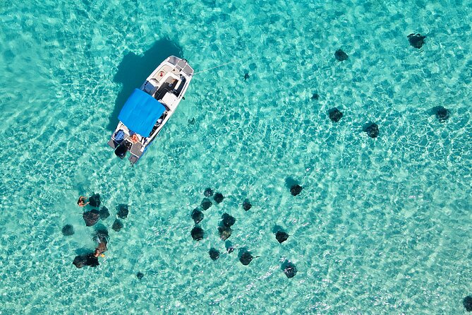 Sunrise at Stingray City, Private Tour - Key points to know before booking