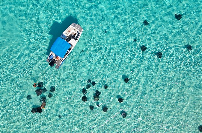 Sunrise at Stingray City, Private Tour - What the stingray encounter feels like